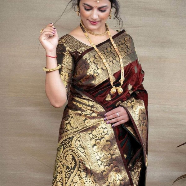 Dhyey Fashion Ethnic Motifs Woven Design Zari Pure Silk Banarasi Saree