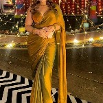 BAESD Beads and Stones  Banarasi Saree