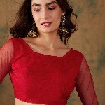 Sangria Embroidered Net Sarees