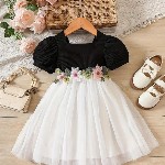 BAESD Girls Floral Flutter Sleeve Net Fit & Flare Dress