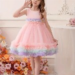 BAESD Girls Ruffled Net Fit & Flare Dress