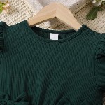 Girls Floral Print Embroidered Fit & Flared Dress