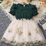 Girls Floral Print Embroidered Fit & Flared Dress