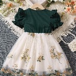 Girls Floral Print Embroidered Fit & Flared Dress