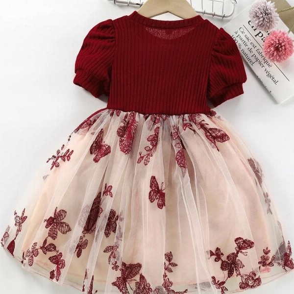 Girls Floral Print Embroidered Fit & Flared Dress