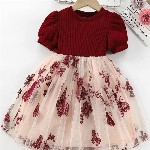Girls Floral Print Embroidered Fit & Flared Dress