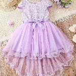 BAESD Girls Self Design Embroidered Ruffled Fit & Flare Dress