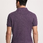 THE BEAR HOUSE Men Solid Regular Fit Cotton Polo Collar T-Shirt